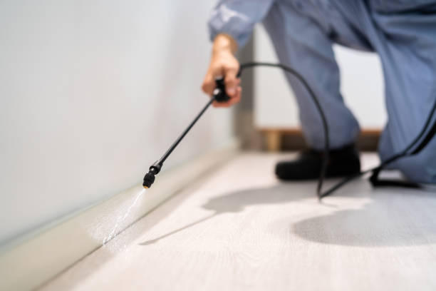 Licensed Termite Control service in Stockton, UT - Nex Pest Control