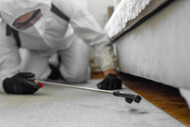 Professional Termite Control technician working in Stockton, UT
