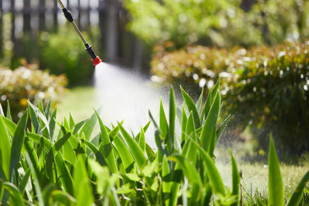 24/7 Emergency Termite Control experts in Stockton, UT