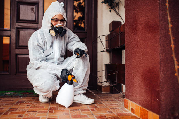 Reliable Termite Control contractor in Stockton, UT by Nex Pest Control