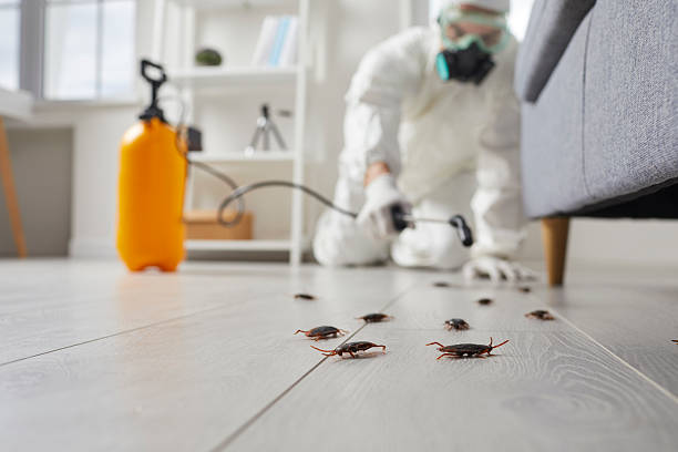 Trusted Fumigation Services service in Stockton, UT - Nex Pest Control