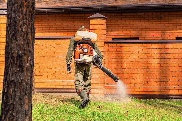 Trusted Rodent Control service in Stockton, UT - Nex Pest Control